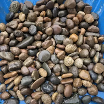 Sỏi nhiều màu tự nhiên trang trí